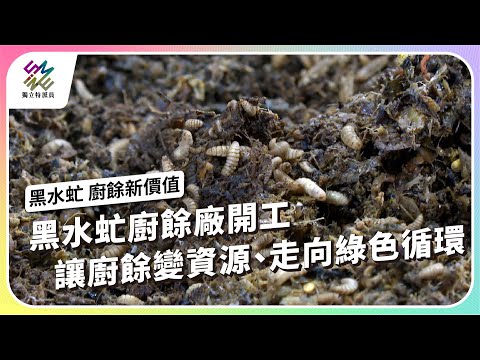 黑水虻廚餘廠開工！讓廚餘變資源、走向綠色循環｜黑水虻 廚餘新價值｜公視 #獨立特派員 第900集 20250430