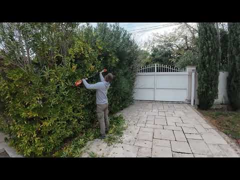 “Les branches risquent de toucher le fil électrique !" Remise en état du jardin
