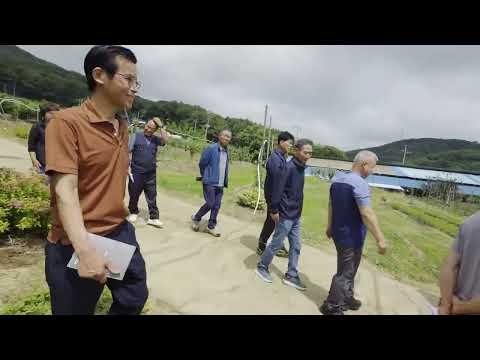 만금농원 체리농장 방문 체험편(게으름뱅이농장)