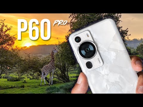 Huawei P60 Pro Camera Test - SAFARI ( UK )