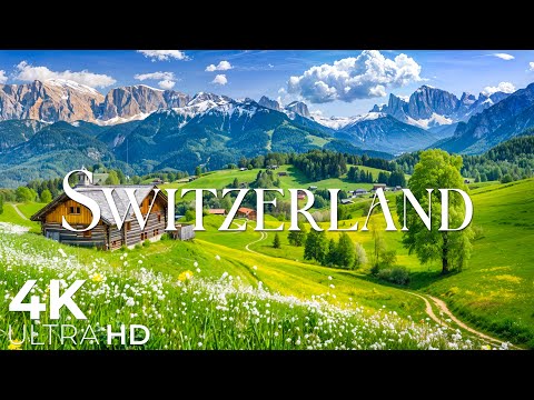 A Moment of Spring Life in Switzerland 🌷 Discover the Beauty of Swiss Countryside in 4K