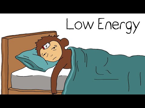 Why Your Brain Has No Energy (And How to Fix It Fast)