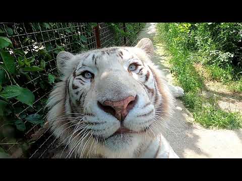 Крым глазами северян. Тайган 2023