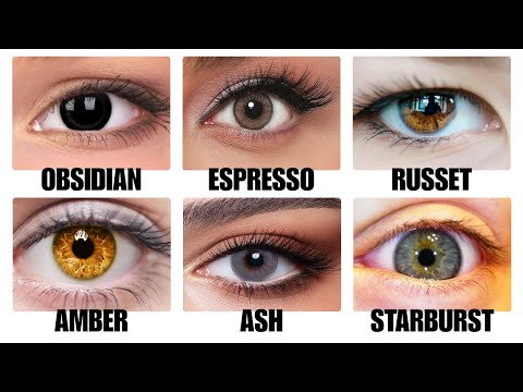 Every Hidden Advantages of Brown Eye Types Explained