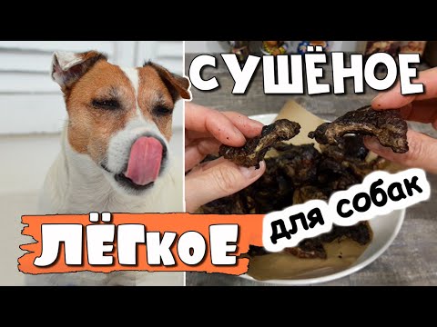 Как приготовить легкое для собак в духовке/Сушеные вкусняшки для собак своими руками