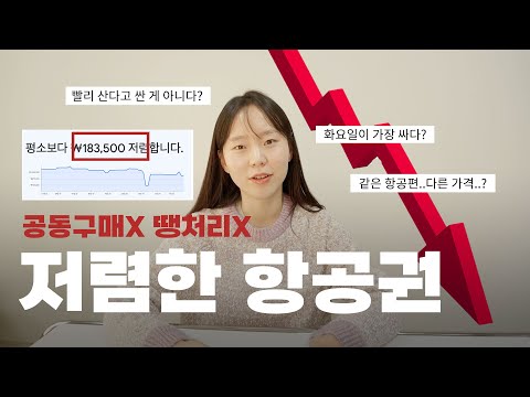 (광고❌) 여행사 사장은 이렇게 구매합니다.. 항공권 싸게 구매하는 꿀팁 대방출 🚨