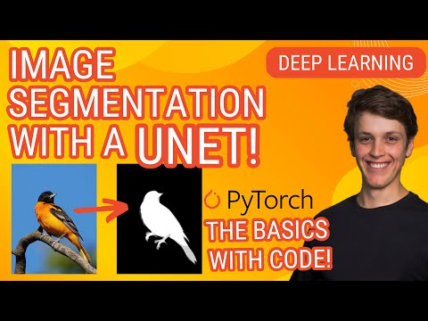 U-net Image Segmentation the basics (From Scratch!): Pytorch Deep Learning Tutorial