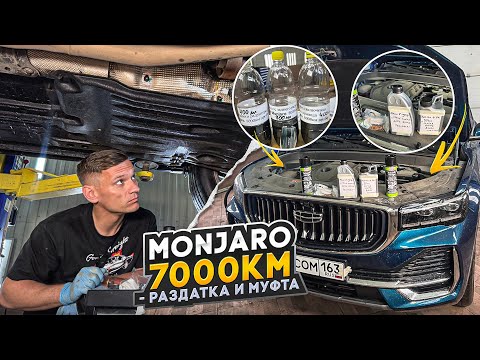 Китайцы недоливают масло? Geely Monjaro 7000 км - замена масла в Haldex, угловом и заднем редукторе