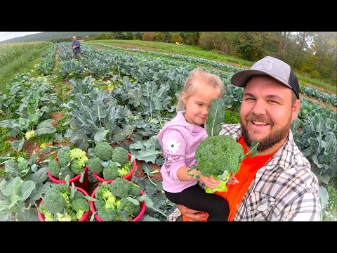 A SPECIAL FALL HARVEST