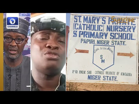 Abduction: Niger State Too Vast For Existing Police Strength - Police PRO