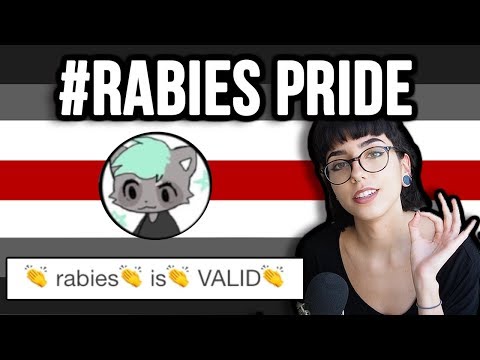 The New Insane Tumblr Identity | Tumblr Deep Dive