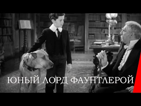 ЮНЫЙ ЛОРД ФАУНТЛЕРОЙ (1936) семейный