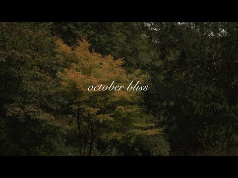 october bliss | apple crumble, a countryside walk and winter bedding🍂  [silent vlog]