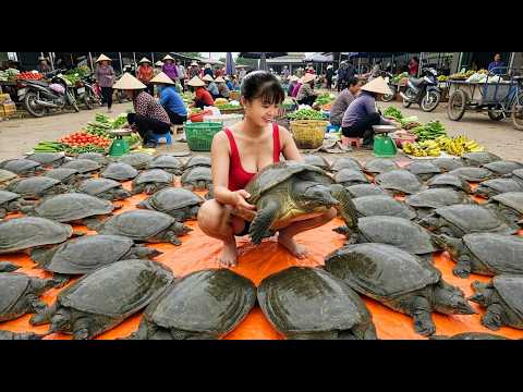 [TIMELAPSE] -- 668 Days Harvesting A Lot Of Softshell Turtle, Duck Eggs Go To Village Market Sell