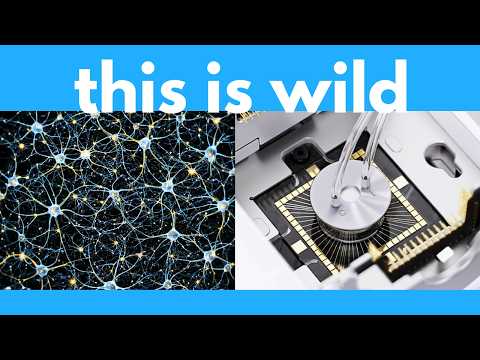 The Matrix is coming