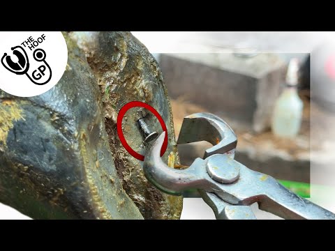 IMAGINE the INSTANT RELIEF pulling this out would give you!