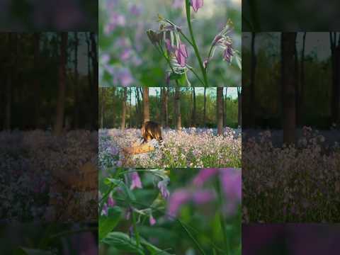 A different perspective