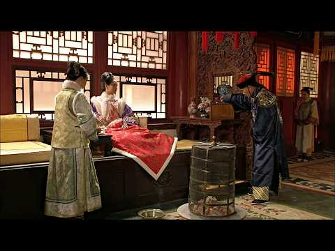 安嫔怀孕封妃被赐鸟妃封号，熹贵妃暗中搞怪趁机大封六宫【甄嬛传】