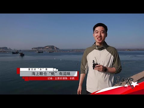 黑土地 20250915：海上糧倉「蠔」有滋味