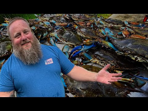 My traps were loaded with FLORIDA BLUE CRABS!