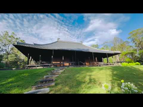 法緣潤心 10｜佛七·十二光照，攝生離苦，同成佛道｜Dharma Affinity · Heart Enriched｜2025-12-06