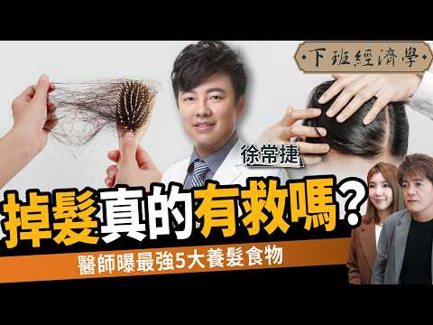 【健康】掉髮真的有救嗎？醫師曝最強5大養髮食物：讓你髮量翻倍！ft.皮膚科醫師 徐常捷｜下班經濟學581｜謝哲青、路怡珍 @TheStormMedia