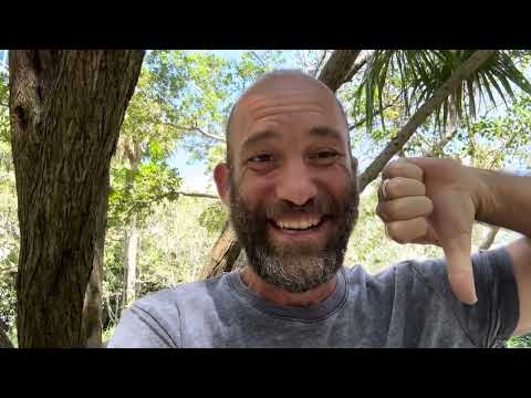 Question: What is Vibe Coding with AI