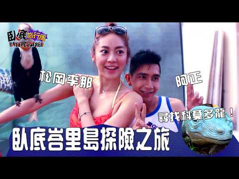 臥底峇里島探險之旅 尋找科莫多龍！《臥底旅行團1.0》EP8｜李尚正 阿正｜松岡李那 ｜ HOY 77
