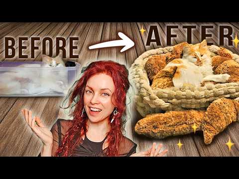 I made a cozy croissant cat bed 🐈