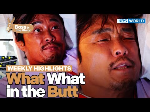 [Weekly Highlights] Choo's First Colonoscopy😨 [Boss in the Mirror] | KBS WORLD TV 231108