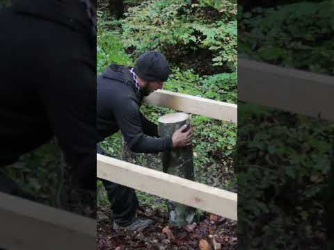 Bushcraft solo #camping  #bushcraft #survival #building Part - 1