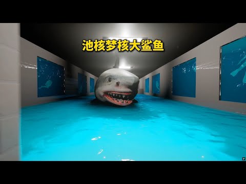 你突然穿越到了池核梦核的世界