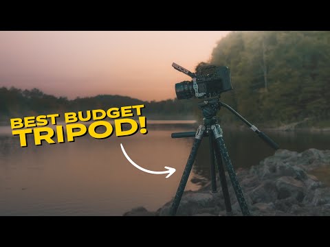 The BEST Tripod For Beginners?! (Smallrig/Potato Jet Tribex SE)