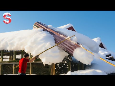 Skilled Snow Removal: Massive Roof Avalanche | Extreme Challenging Roof Snow Clearing Moments #10
