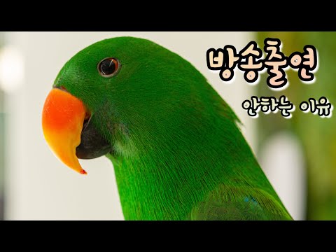 [지구젤리/일상] 방송출연, 팬미팅 안하는 이유