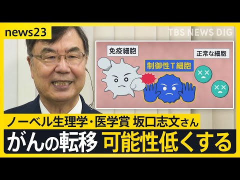 “免疫のブレーキ役発見”でがん治療の未来は… 今年のノーベル生理学・医学賞に坂口志文さんに聞いた【news23】|TBS NEWS DIG