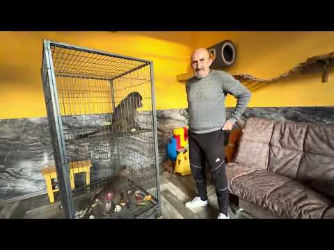 Lyuska brought me SUCH BEAUTY that I can participate in the competition for the most beautiful ha...