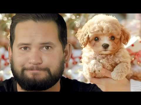 DON'T Buy AI Robot Puppies