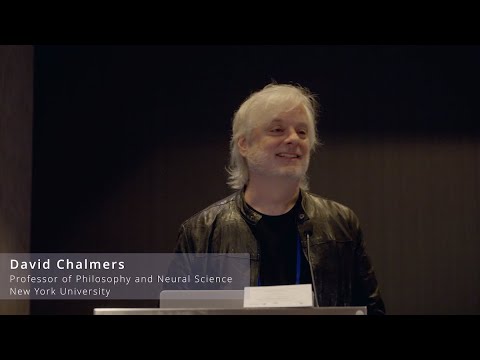 David Chalmers, Can There Be a Mathematical Theory of Consciousness? | Natural Philosophy Symposium