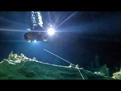 I’m terrified… Cave diving training in Mexico