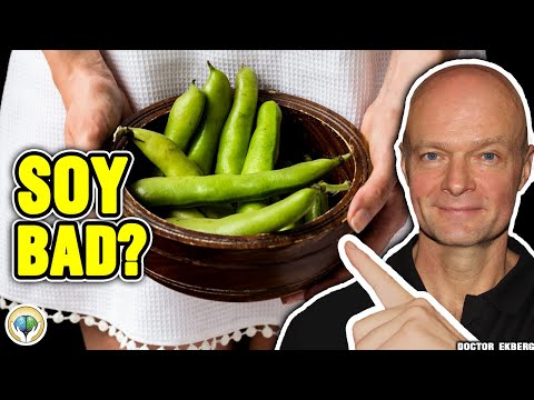 Is SOY BAD For You? (Real Doctor Reveals The TRUTH)