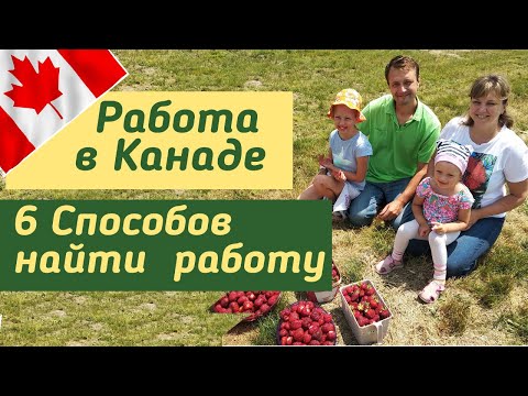 Как найти работу в Канаде. 6 эффективных способов 2020 года