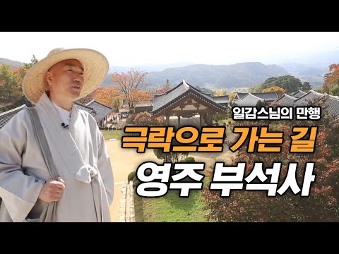 극락으로 가는 길 영주 부석사 [일감스님의 만행]