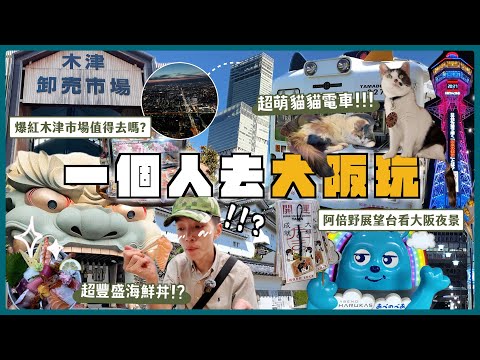 【2025大阪自由行怎麼玩？】木津市場吃海鮮、難波八阪神社、通天閣、阿倍野HARUKAS夜景、和歌山貓咪電車