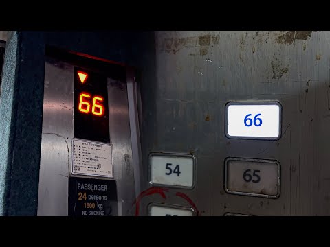 66층 E411!! | 경기 화성시 메타폴리스 A동 비상용 오티스 엘리베이터 | EP.2