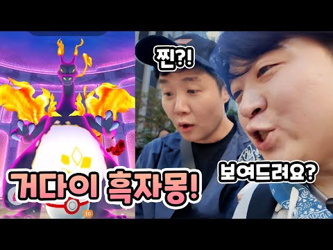 거다이맥스 첫 날! 흑자몽 잡을 때까지 겜브링님 라미님과 파밍?? [포켓몬고]