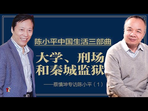 中国人生三个转折点， 导师直言你有反骨，大学讲师进秦城---蔡慎坤专访陈小平（2）