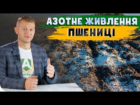 СКІЛЬКИ АЗОТУ ТРЕБА ПШЕНИЦІ І КОЛИ? #СучаснеЖивлення