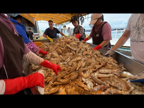 廣東陽江東平漁港 紅星港 20元一盆螃蟹 5元一斤曹白魚 有膏瀨尿蝦 九節蝦 尖叫聲不斷 花蟹 梭子蟹 海鰻 東平鷄飯 海鮮加工 FishingPort Street Food Citywalk 4K