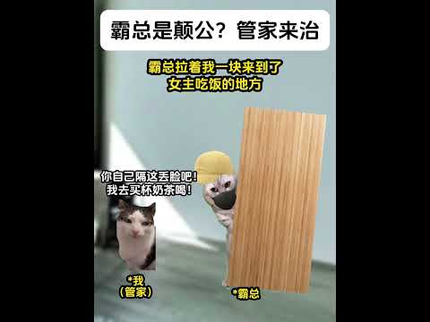 霸总是颠公？ 管家来治#搞笑 #猫meme #猫meme小剧场 #超爆小故事